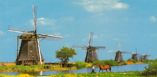 Tham khảo kinh nghiệm du lịch Hà Lan mùa thu ăn chơi thả ga