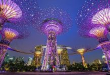 Tổng hợp kinh nghiệm du lịch Singapore tự túc có thể bạn chưa biết