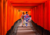 Cẩm nang tham quan đền thờ Fushimi Inari Taisha khi du lịch Nhật Bản