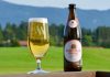 Danh sách những loại bia đáng để thưởng thức khi du lịch Đức