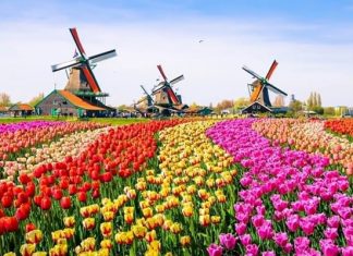 Đi tour du lịch Hà Lan cần chuẩn bị những gì?
